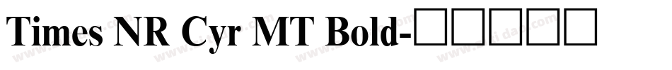 Times NR Cyr MT Bold字体转换